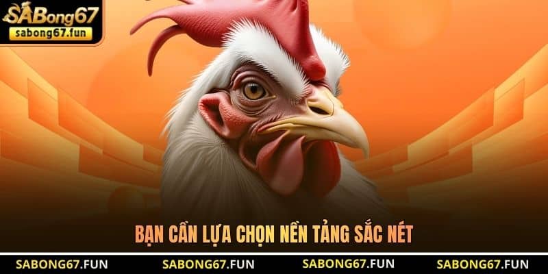 Bạn cần lựa chọn nền tảng sắc nét Bạn cần lựa chọn nền tảng sắc nét