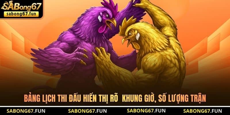 Bảng lịch thi đấu hiển thị rõ khung giờ, số lượng trận