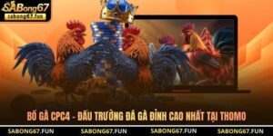 Bồ Gà CPC4 – Đấu Trường Đá Gà Đỉnh Cao Nhất Tại Thomo