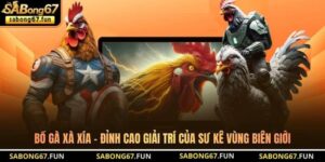 Bồ Gà Xà Xía – Đỉnh Cao Giải Trí Của Sư Kê Vùng Biên Giới
