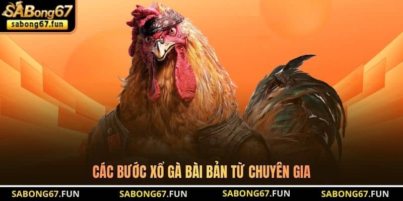Các bước xổ gà bài bản từ chuyên gia Các bước xổ gà bài bản từ chuyên gia