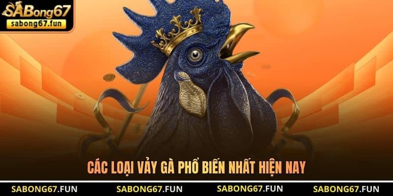 Các loại vảy gà phổ biến nhất hiện nay Các loại vảy gà phổ biến nhất hiện nay