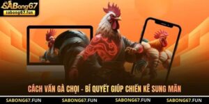 Cách Vần Gà Chọi - Bí Quyết Giúp Chiến Kê Sung Mãn