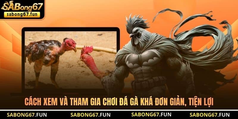Cách xem và tham gia chơi đá gà khá đơn giản, tiện lợi