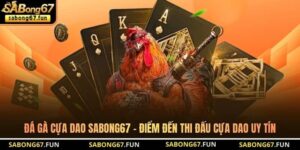 Đá Gà Cựa Dao SABONG67 – Điểm Đến Thi Đấu Cựa Dao Uy Tín