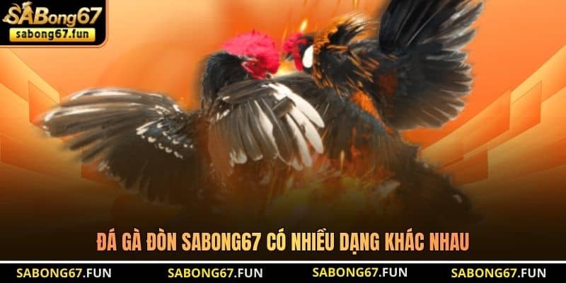Đá gà đòn SABONG67 có nhiều dạng khác nhau