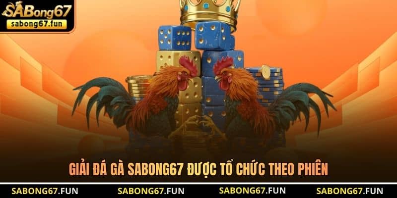 Giải đá gà SABONG67 được tổ chức theo phiên