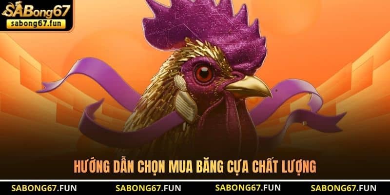 Hướng dẫn chọn mua băng cựa chất lượng Hướng dẫn chọn mua băng cựa chất lượng