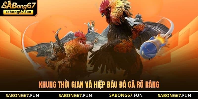 Khung thời gian và hiệp đấu đá gà rõ ràng Khung thời gian và hiệp đấu đá gà rõ ràng