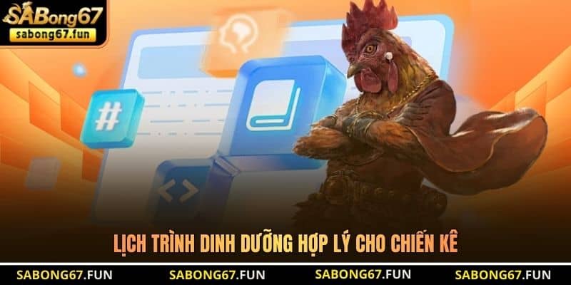Lịch trình dinh dưỡng hợp lý cho chiến kê Lịch trình dinh dưỡng hợp lý cho chiến kê