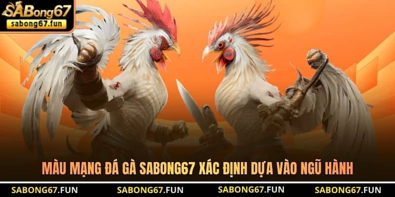 Màu mạng đá gà SABONG67 xác định dựa vào ngũ hành