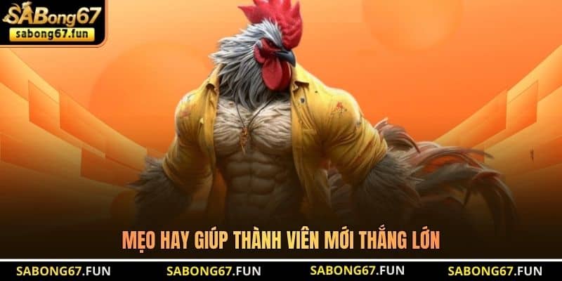 Mẹo hay giúp thành viên mới thắng lớn