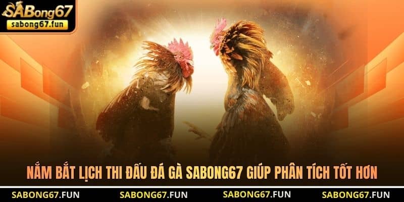 Nắm bắt lịch thi đấu đá gà SABONG67 giúp phân tích tốt hơn