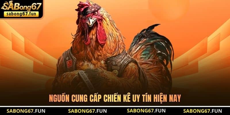 Nguồn cung cấp chiến kê uy tín hiện nay Nguồn cung cấp chiến kê uy tín hiện nay
