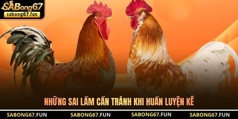 Những sai lầm cần tránh khi huấn luyện kê Những sai lầm cần tránh khi huấn luyện kê