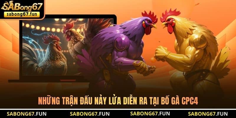 Những trận đấu nảy lửa diễn ra tại Bồ Gà CPC4 Những trận đấu nảy lửa diễn ra tại Bồ Gà CPC4