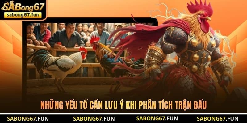 Những yếu tố cần lưu ý khi phân tích trận đấu Những yếu tố cần lưu ý khi phân tích trận đấu
