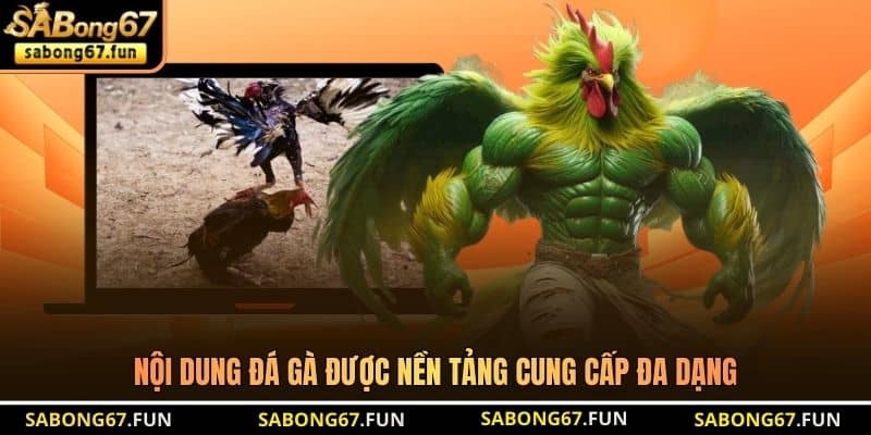 Nội dung đá gà được nền tảng cung cấp đa dạng