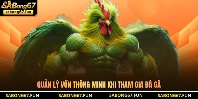 Quản lý vốn thông minh khi tham gia đá gà Quản lý vốn thông minh khi tham gia đá gà