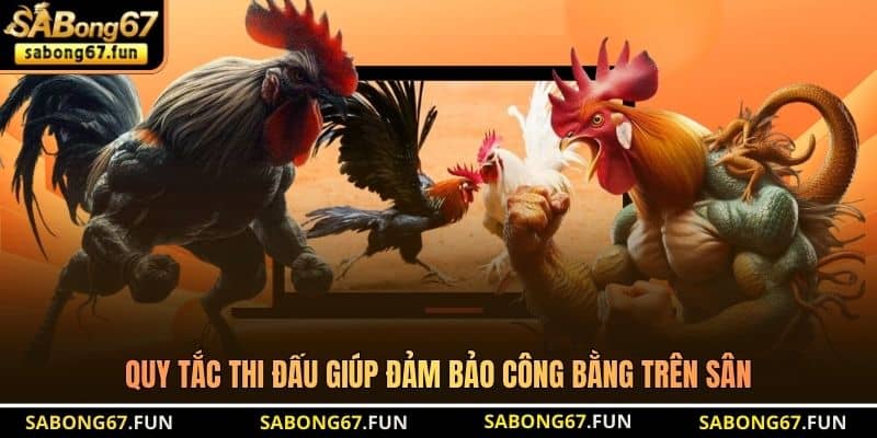 Quy tắc thi đấu giúp đảm bảo công bằng trên sân Quy tắc thi đấu giúp đảm bảo công bằng trên sân