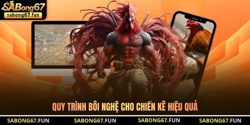 Quy trình bôi nghệ cho chiến kê hiệu quả Quy trình bôi nghệ cho chiến kê hiệu quả