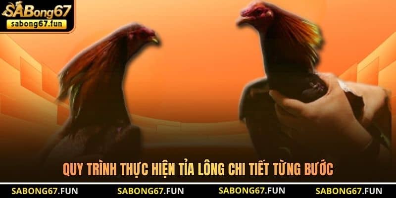 Quy trình thực hiện tỉa lông chi tiết từng bước Quy trình thực hiện tỉa lông chi tiết từng bước