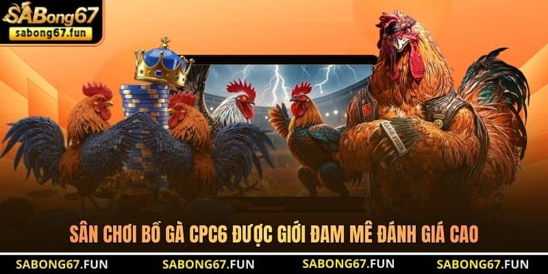 Sân chơi Bồ Gà CPC6 được giới đam mê đánh giá cao Sân chơi Bồ Gà CPC6 được giới đam mê đánh giá cao