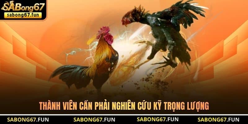 Thành viên cần phải nghiên cứu kỹ trọng lượng