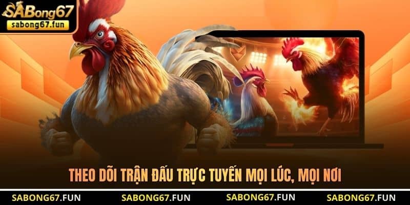 Theo dõi trận đấu trực tuyến mọi lúc, mọi nơi Theo dõi trận đấu trực tuyến mọi lúc, mọi nơi