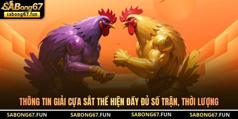 Thông tin giải cựa sắt thể hiện đầy đủ số trận, thời lượng