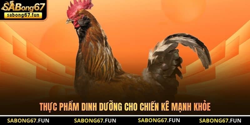Thực phẩm dinh dưỡng cho chiến kê mạnh khỏe Thực phẩm dinh dưỡng cho chiến kê mạnh khỏe