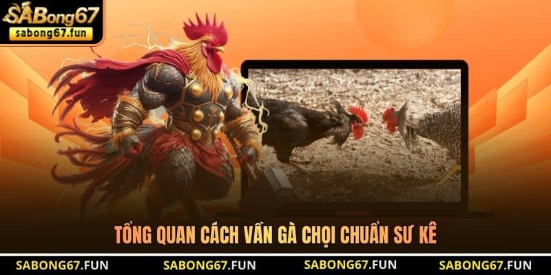 Tổng quan cách vần gà chọi chuẩn sư kê Tổng quan cách vần gà chọi chuẩn sư kê