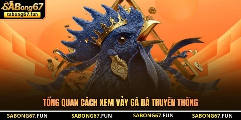 Tổng quan cách xem vảy gà đá truyền thống Tổng quan cách xem vảy gà đá truyền thống