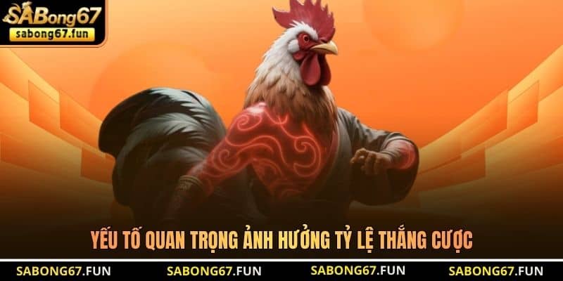 Yếu tố quan trọng ảnh hưởng tỷ lệ thắng cược